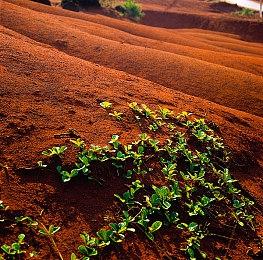 2022暑期高能电玩节 经营模拟《荣耀军营》亮相